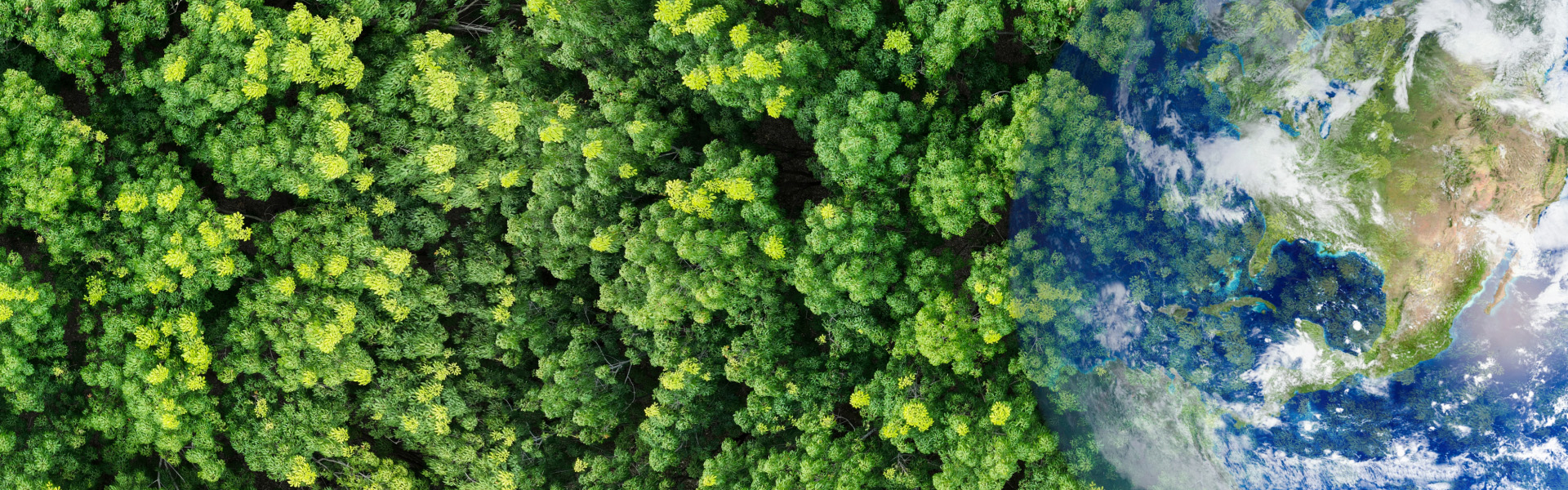 再生粒子拉斯维加斯(3499·VIP认证)官网-LasVegasApp案例